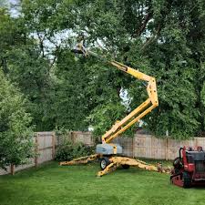 Best Landscape Design and Installation  in Val Verde Park, TX