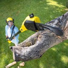 Best Lawn Irrigation Installation and Maintenance  in Val Verde Park, TX